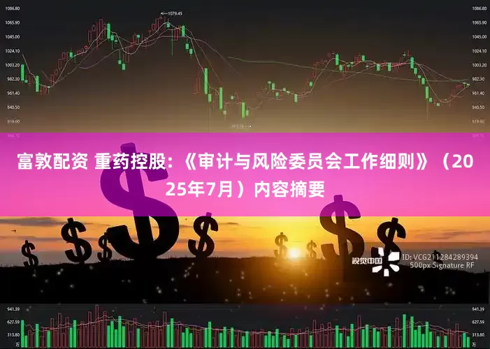 富敦配资 重药控股: 《审计与风险委员会工作细则》（2025年7月）内容摘要