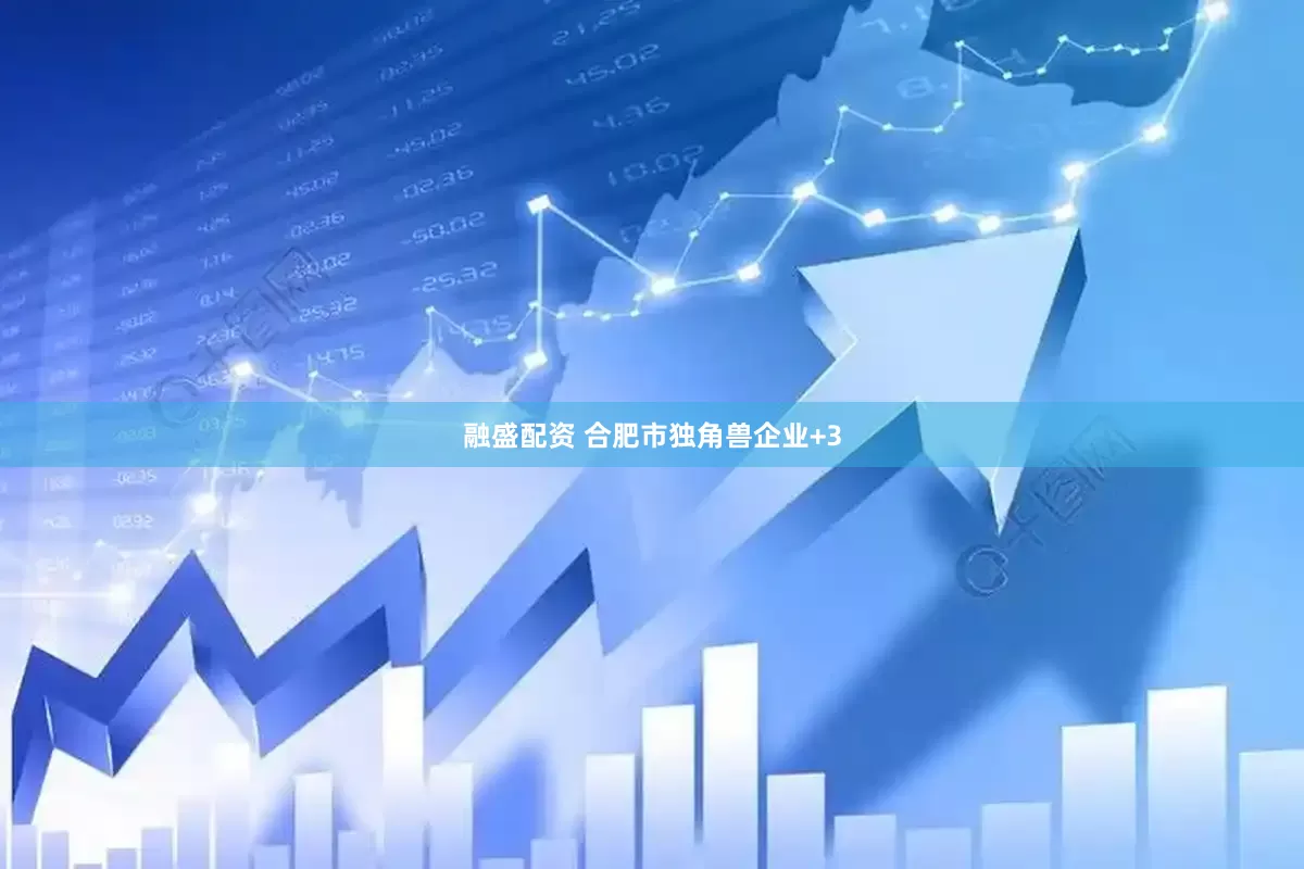融盛配资 合肥市独角兽企业+3