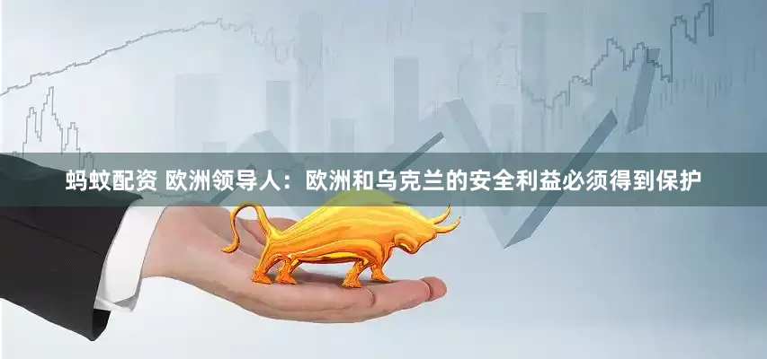蚂蚊配资 欧洲领导人：欧洲和乌克兰的安全利益必须得到保护