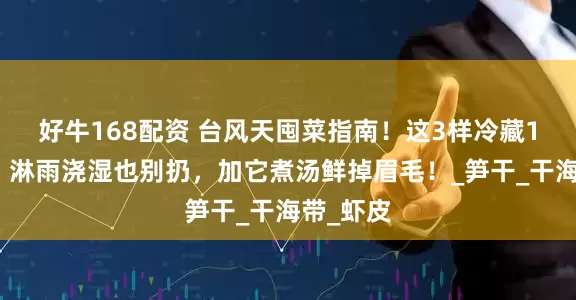 好牛168配资 台风天囤菜指南！这3样冷藏1年不坏！淋雨浇湿也别扔，加它煮汤鲜掉眉毛！_笋干_干海带_虾皮